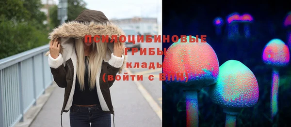 прущие крисы Алзамай