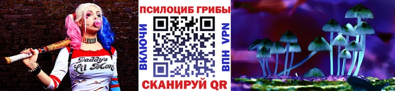 Галлюциногенные грибы GOLDEN TEACHER  Грозный 