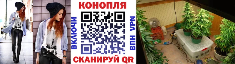 наркотики  Грозный  МАРИХУАНА MAZAR 